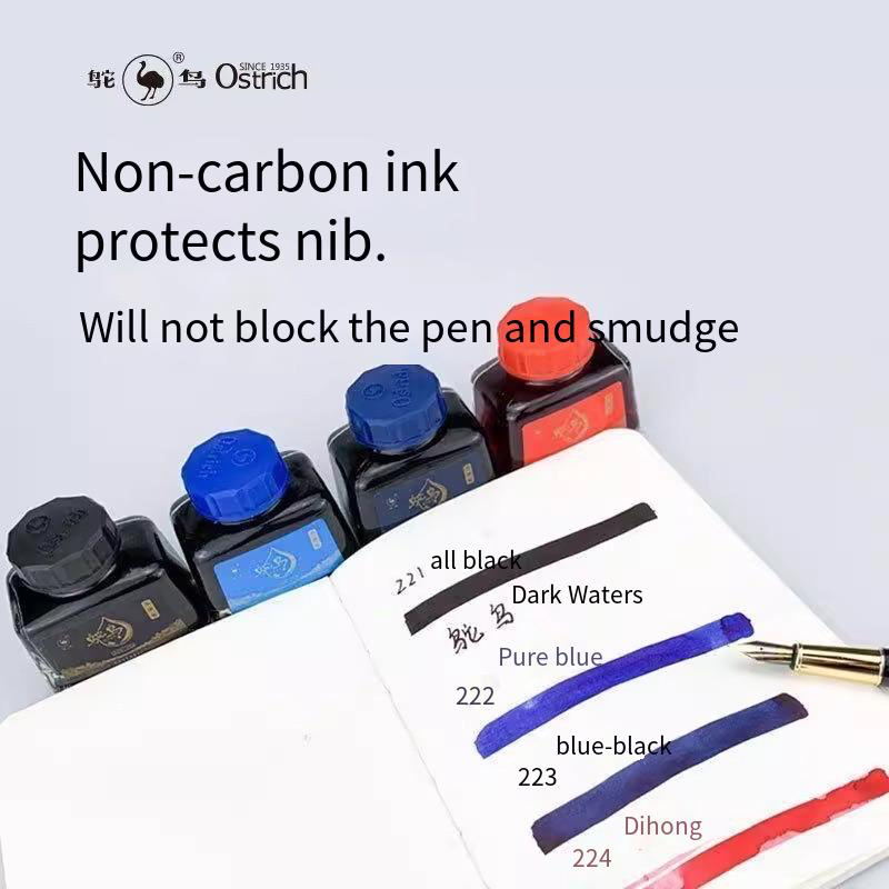 Ostrich 2-Series Fountain Pen  - Fountain Pen Bottled Ink 评论和价格